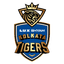 Lux Shyam Kolkata Tigers Flag