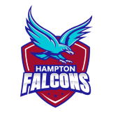 Team logo
